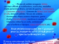dép-appel-projet-2018_V