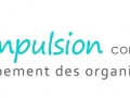 Impulsion consultant