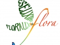 Les élixirs floraux de Flora